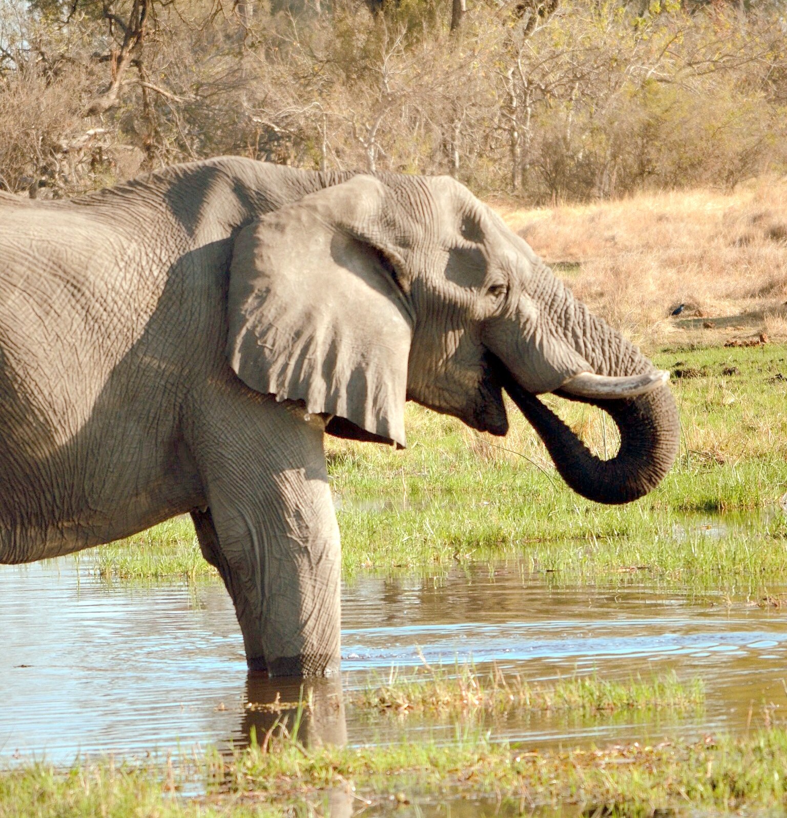 tourism companies in namibia