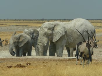 travel agency in namibia