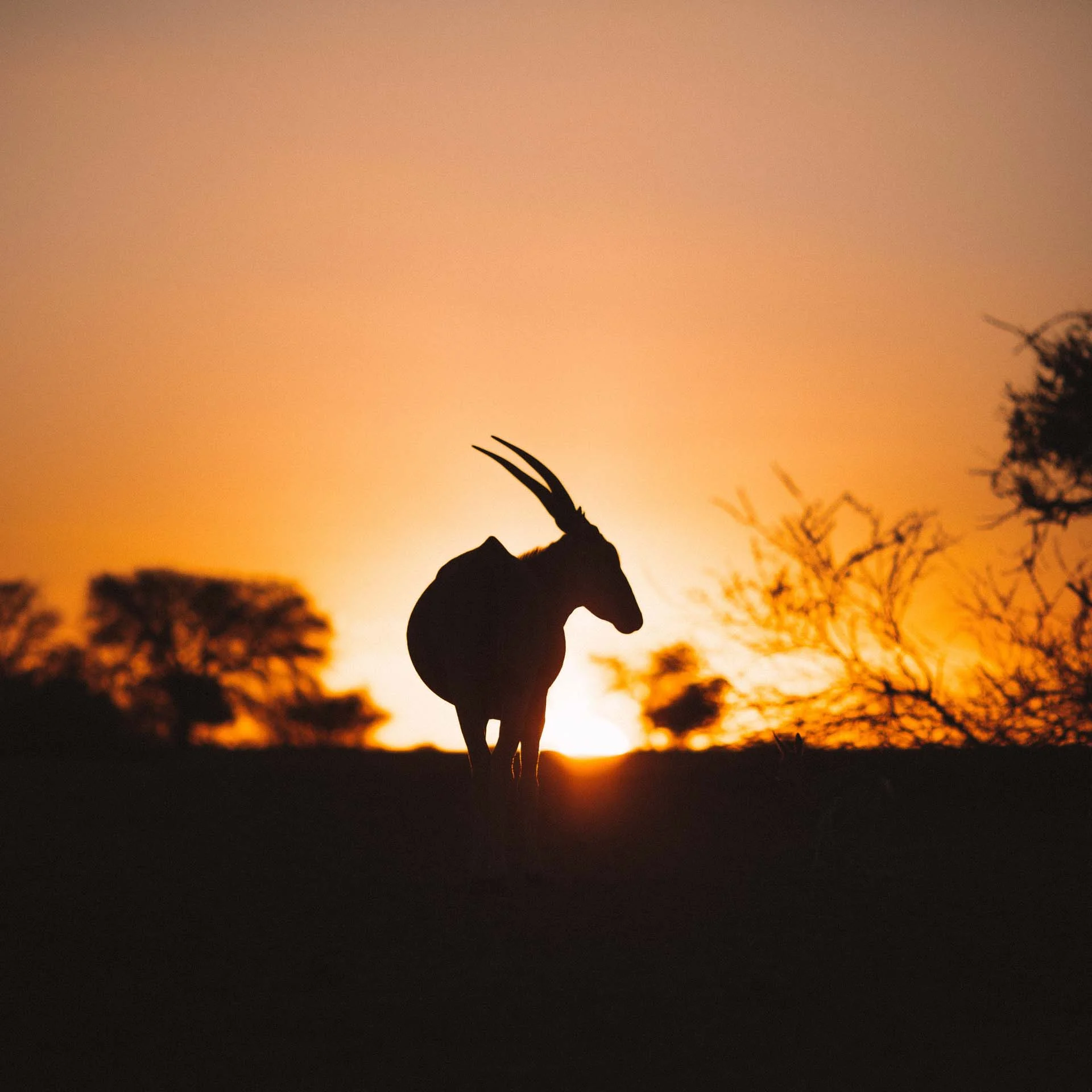 travel agency in namibia