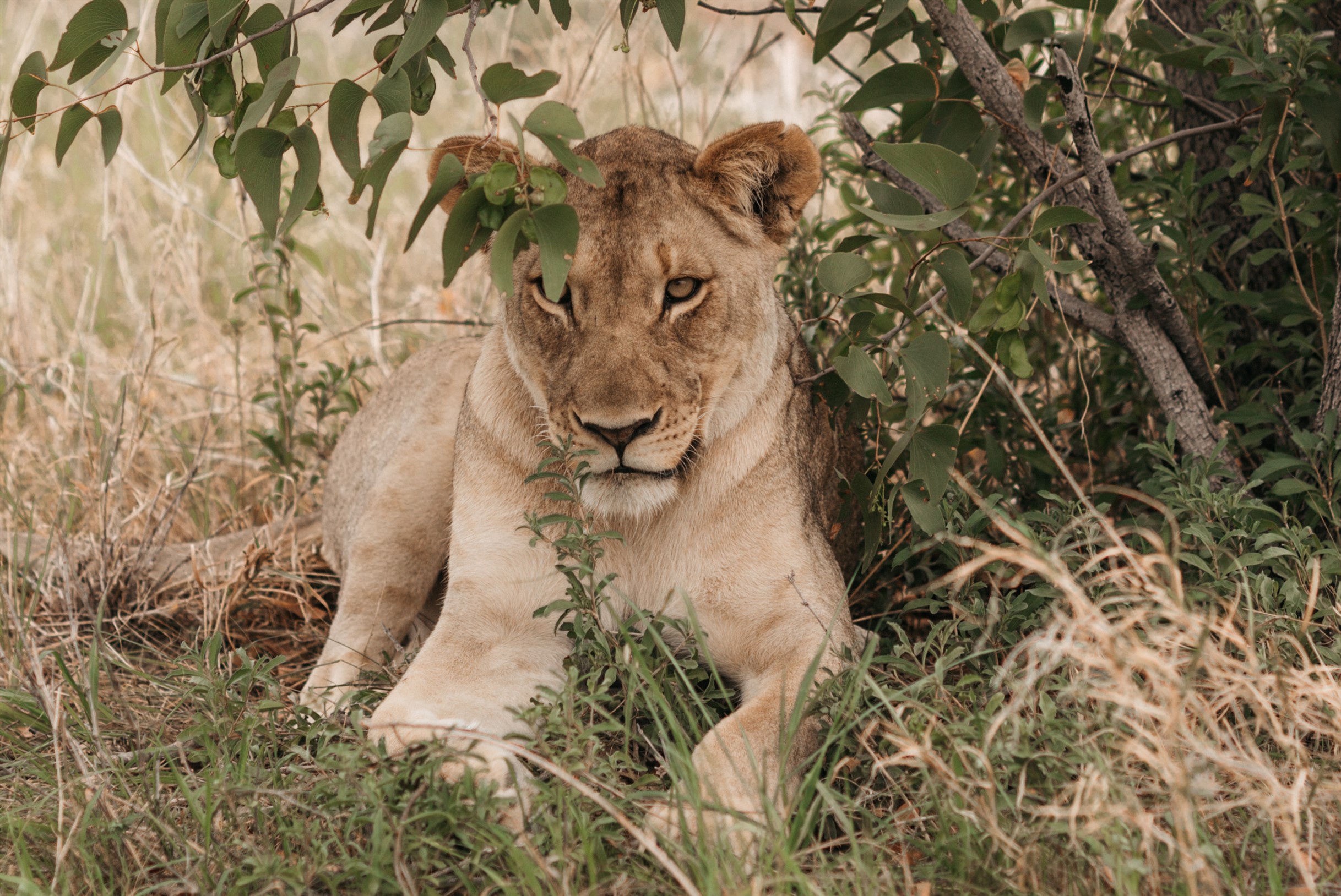 travel agency in namibia