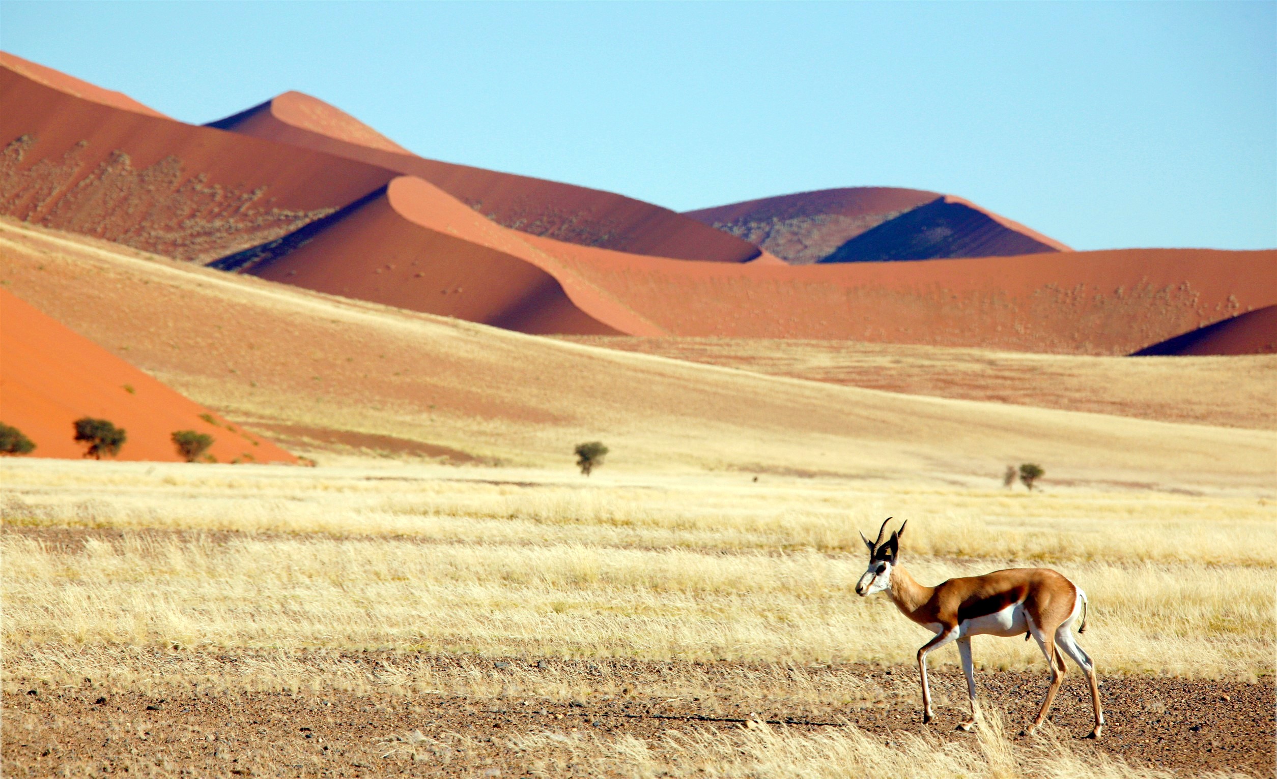 travel agency in namibia