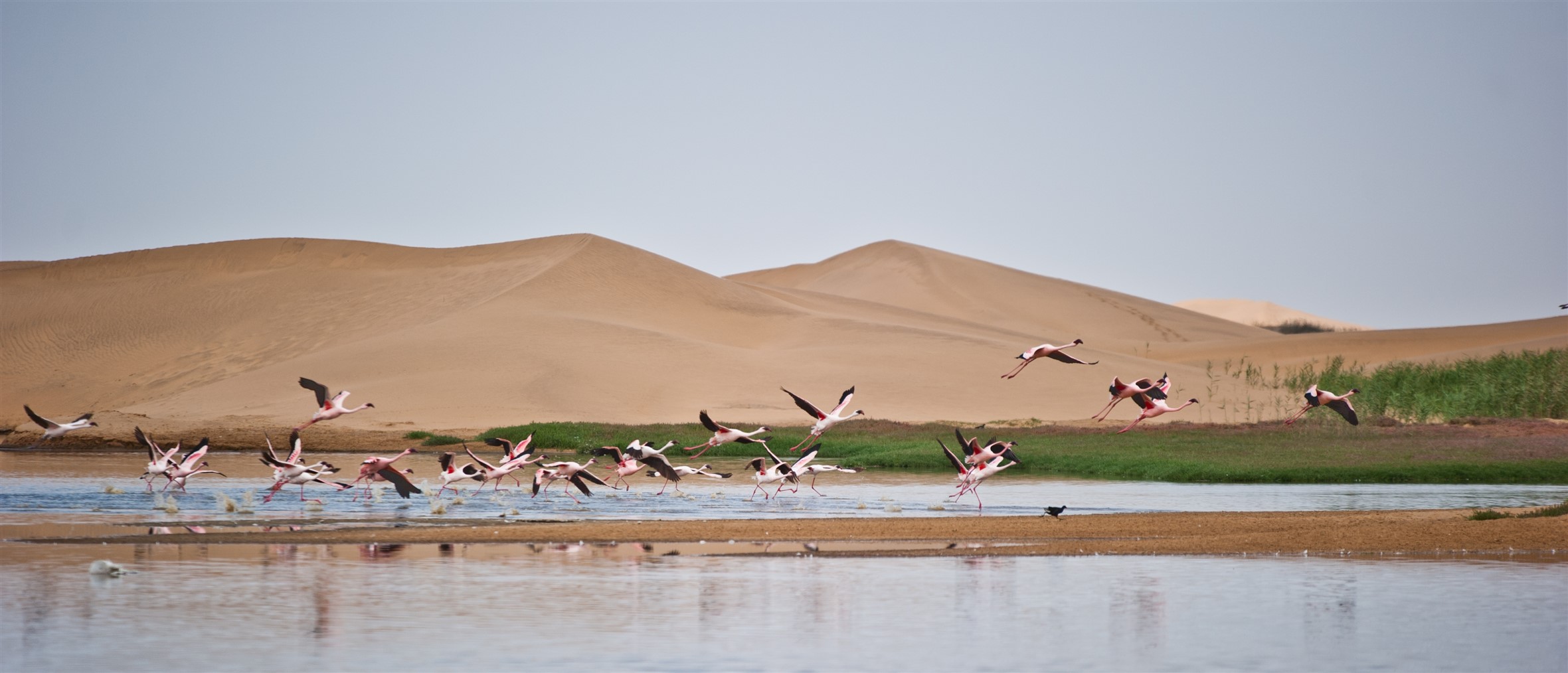 travel agency in namibia