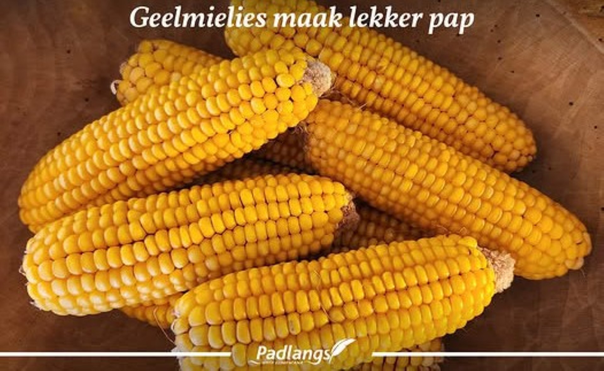 A thoughtful reflection on drought in Namibia, where farmers endure hardship while holding on to hope for early rains.