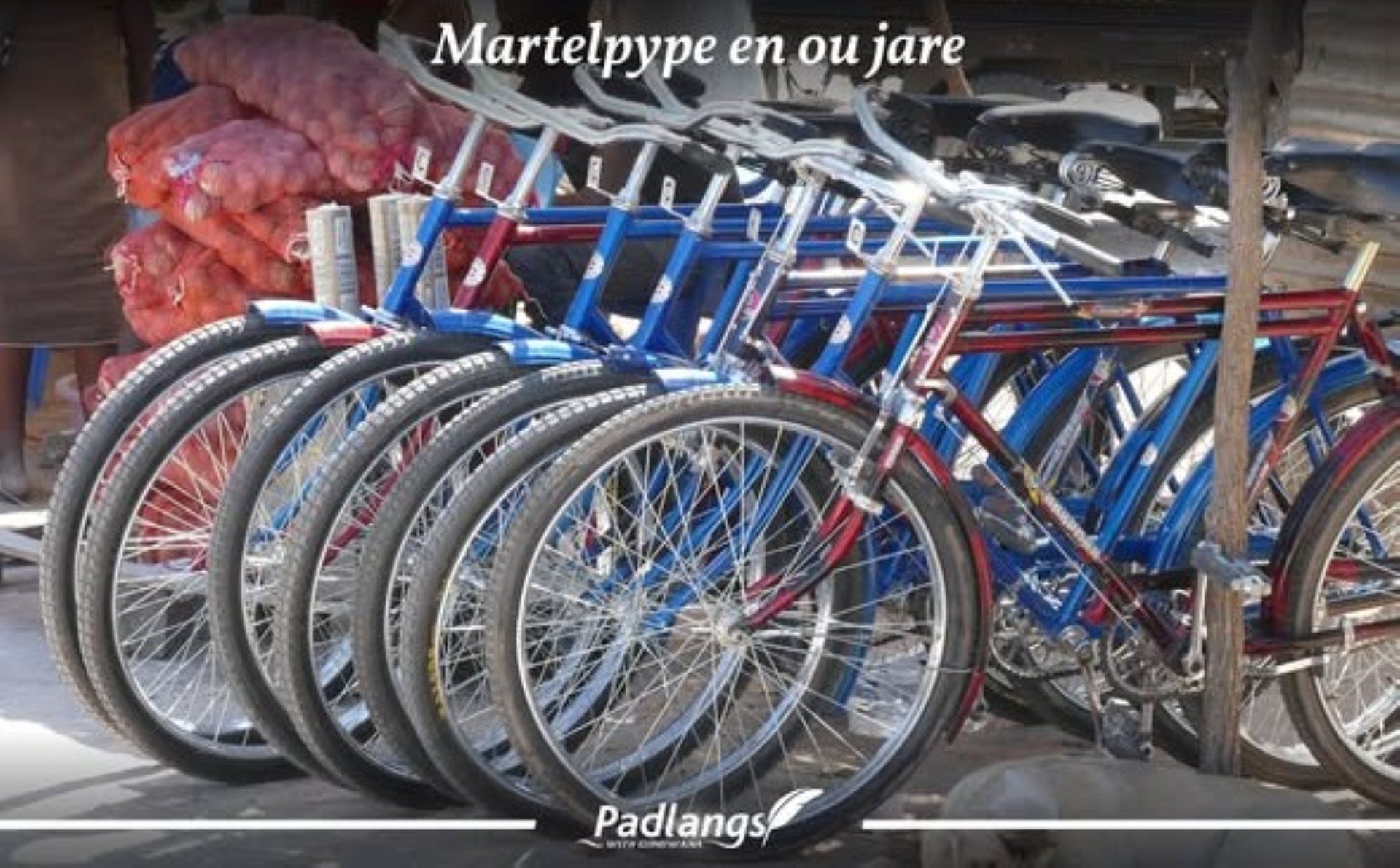 Vintage Windhoek scene showing WHS students cycling up and down steep city hills in the 1970s, past school buildings and bicycle sheds.