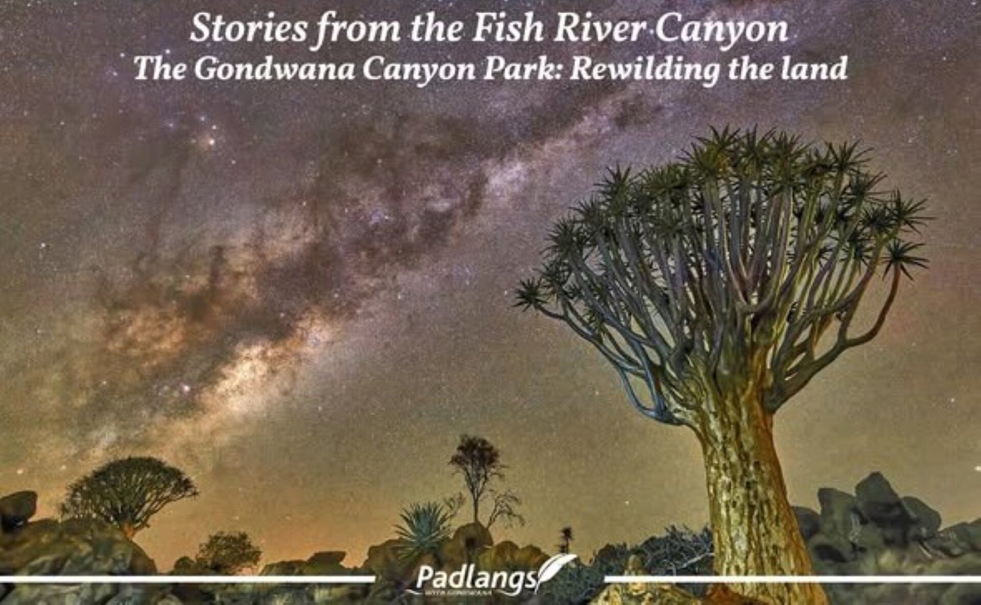 A conservation success story, where former sheep farms were rewilded into the 130,000-hectare Gondwana Canyon Park.