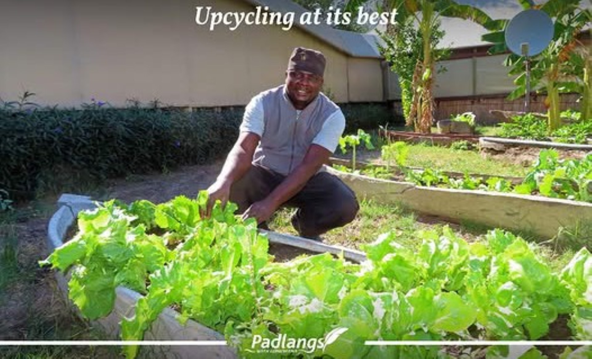 At Chobe River Camp, abandoned mekoro are transformed into thriving vegetable gardens, supplying fresh greens for the lodge’s buffet.