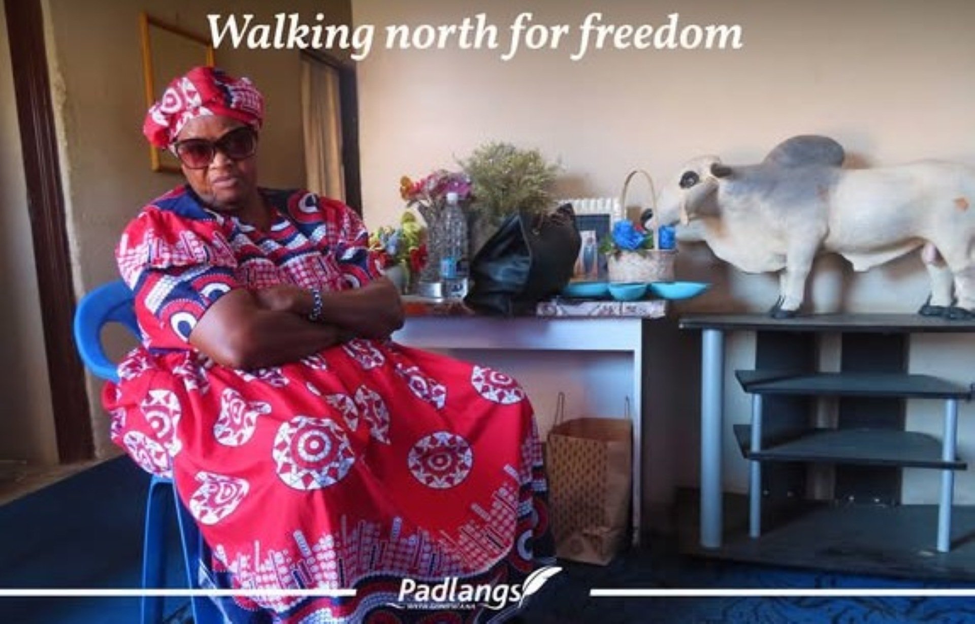  the inspiring journey of Ndahafa Shihepo, who braved immense challenges to contribute to Namibia's liberation and now leads her village.