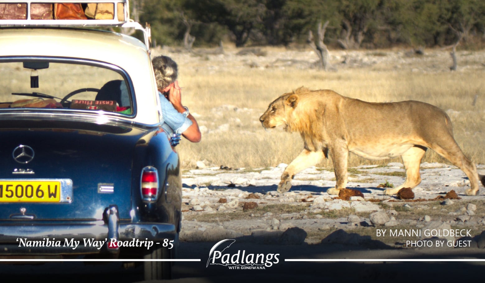 ‘Namibia, My Way’ roadtrip:&nbsp;Images from Etosha