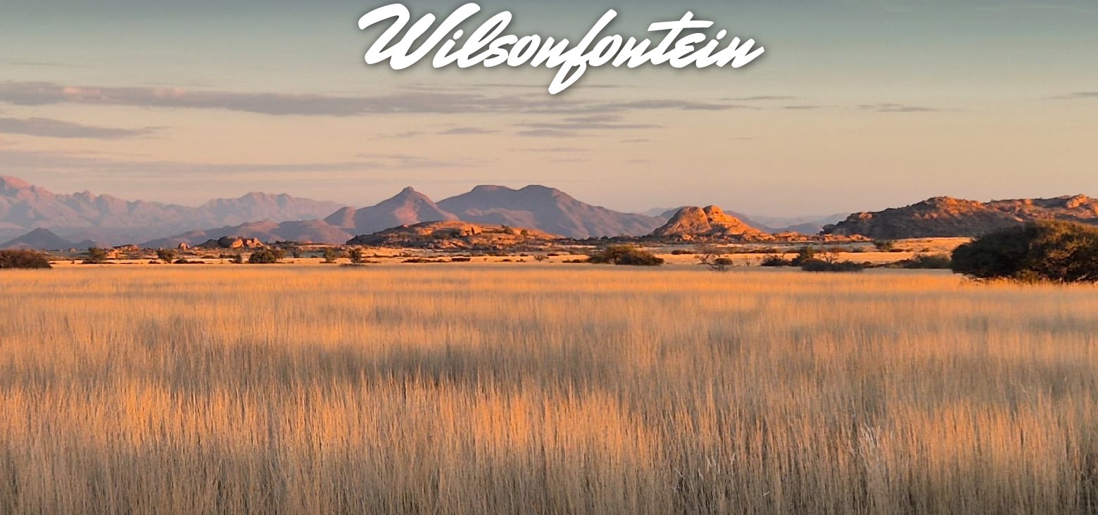 What’s in a name? – Wilsonfontein