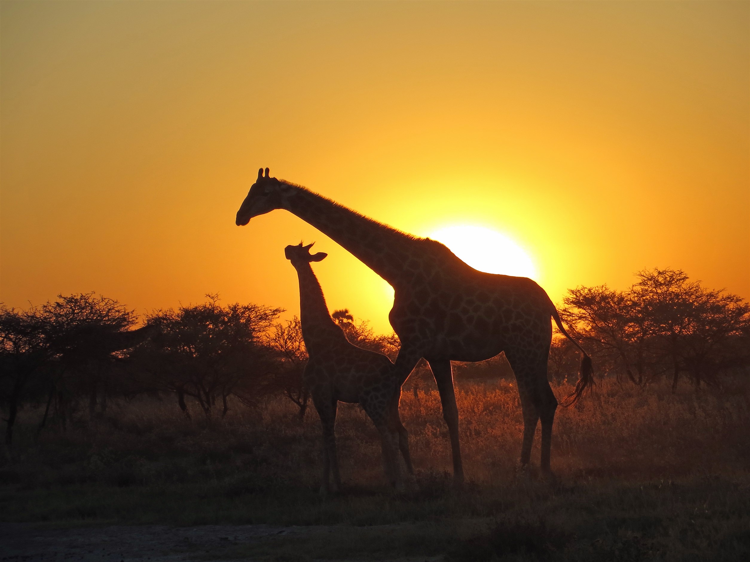 travel agency in namibia