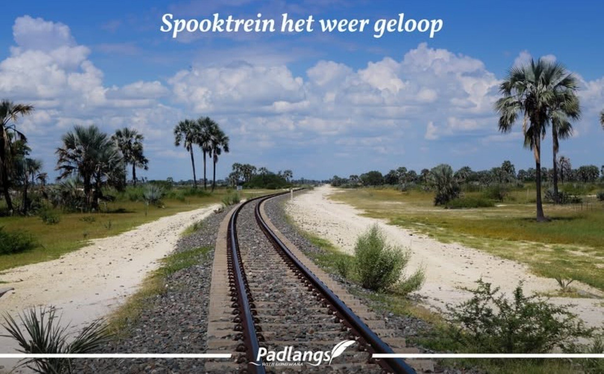 A driver-less TransNamib train runs wild from Ondangwa to Omuthiya, causing chaos before being stopped safel