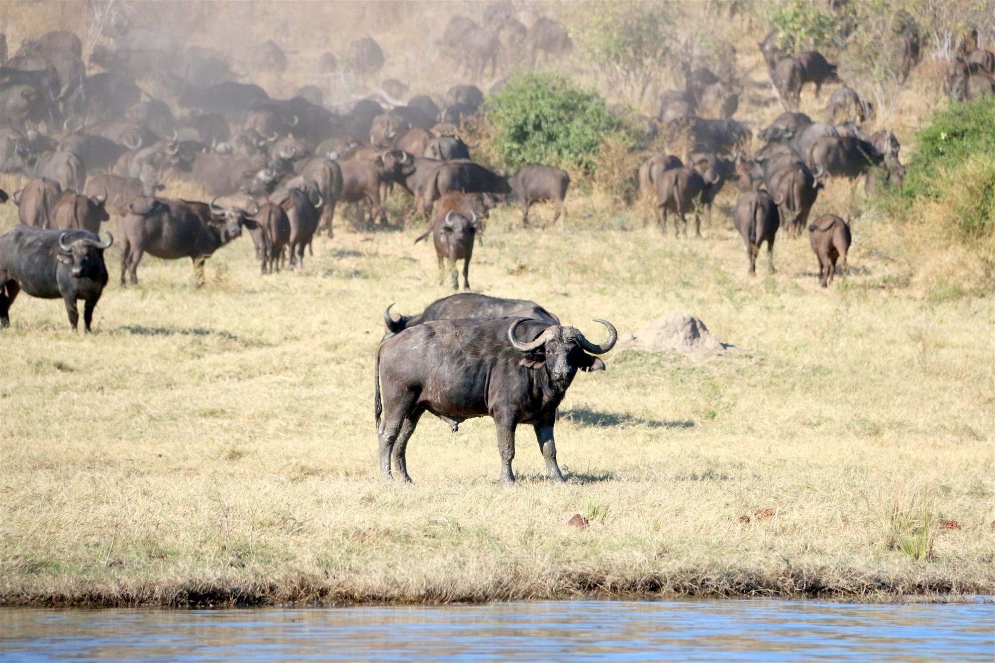 tourism companies in namibia