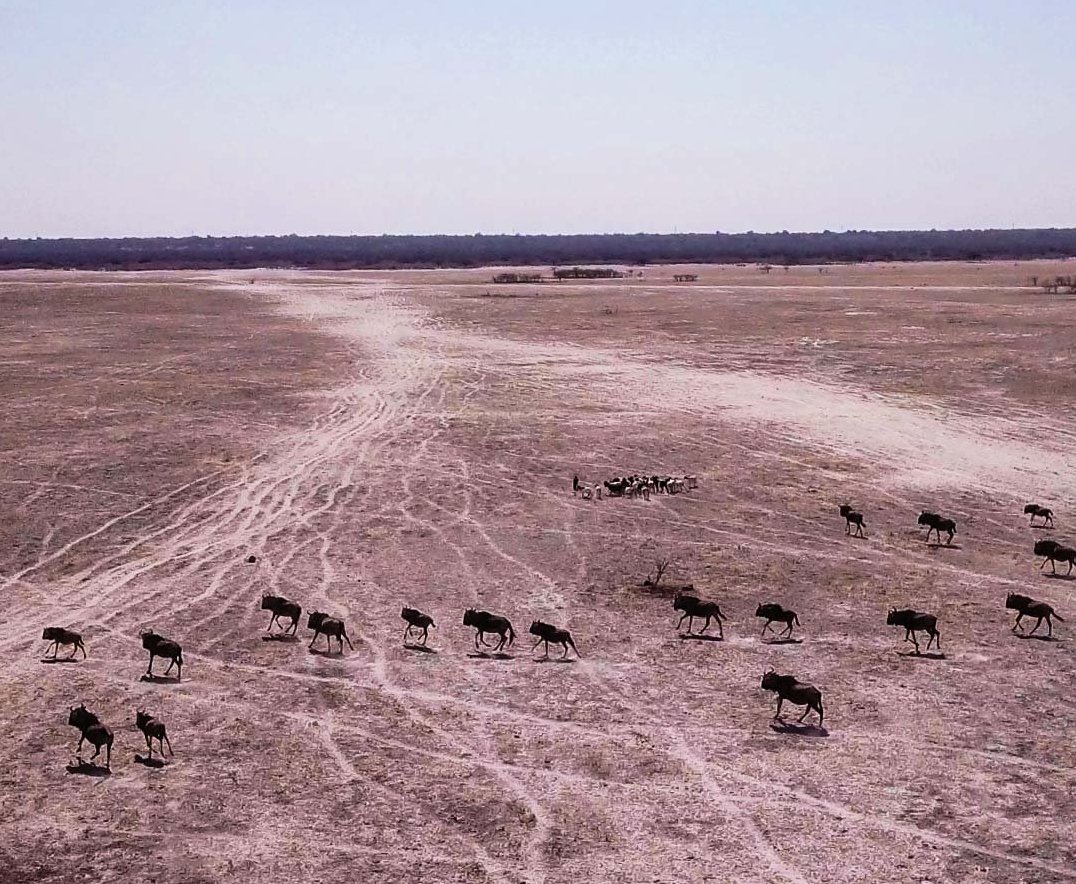 travel agency in namibia