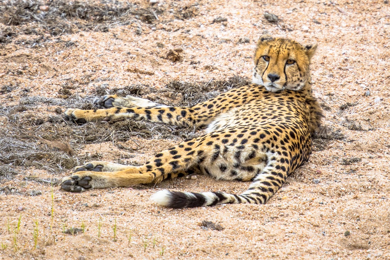 travel agency in namibia