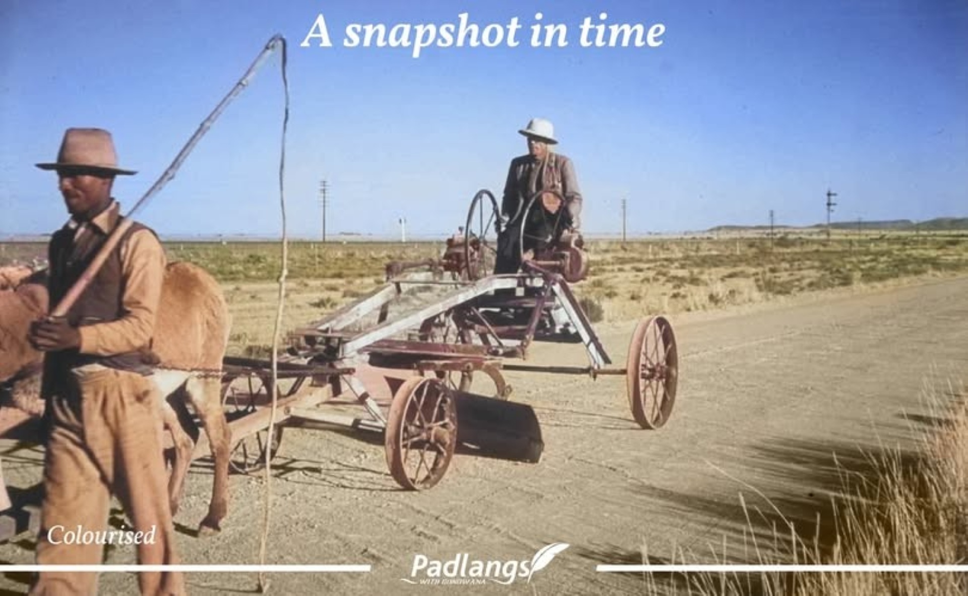 The Donkey-Drawn Road-Grader